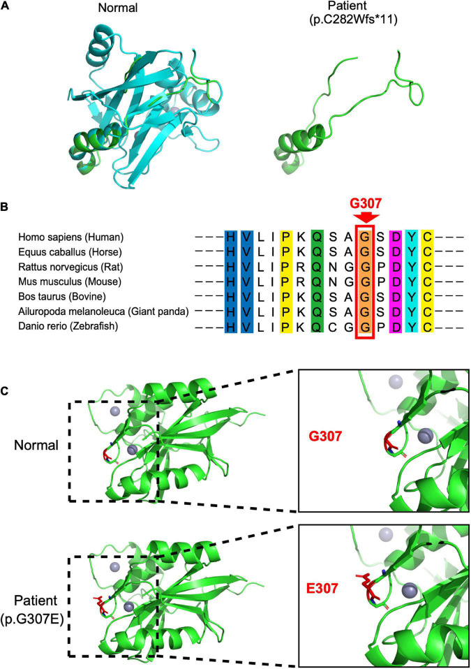 FIGURE 2