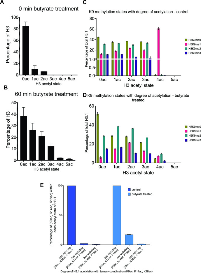 Figure 3—figure supplement 1.