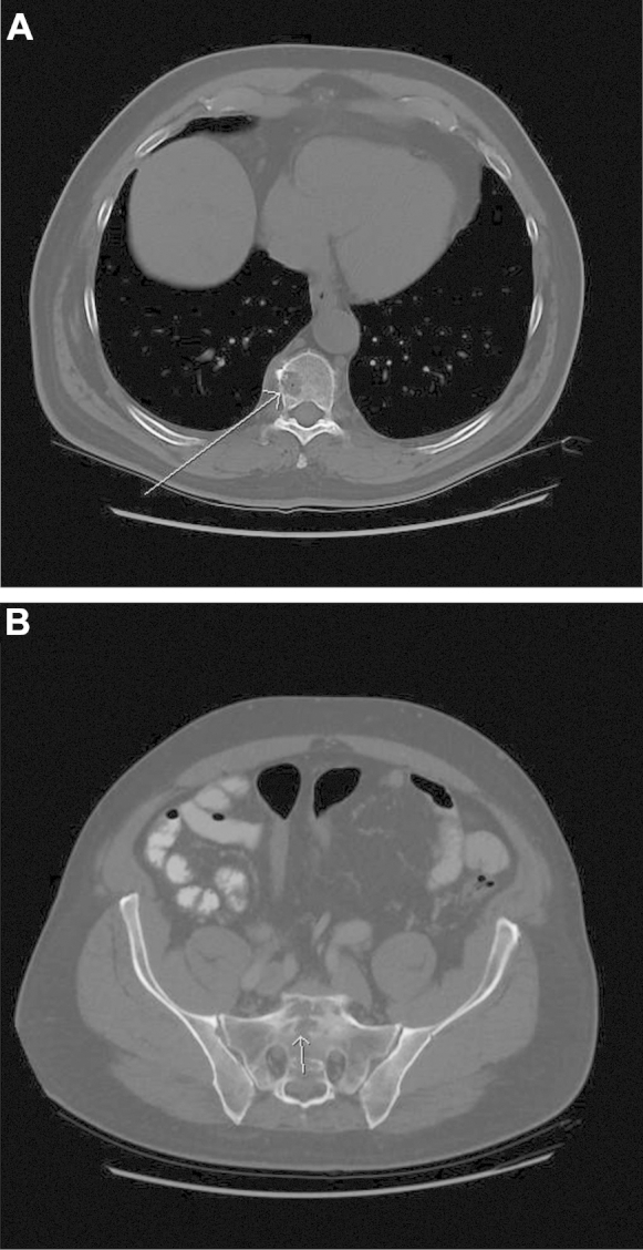 Fig. 6