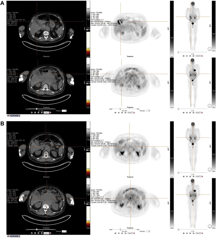 Fig. 9