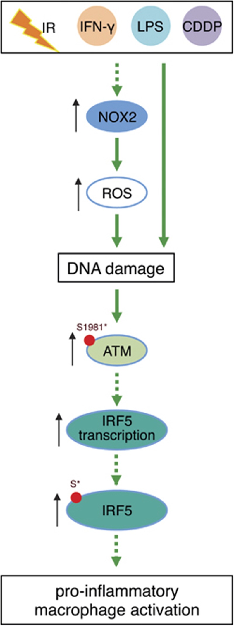 Figure 7