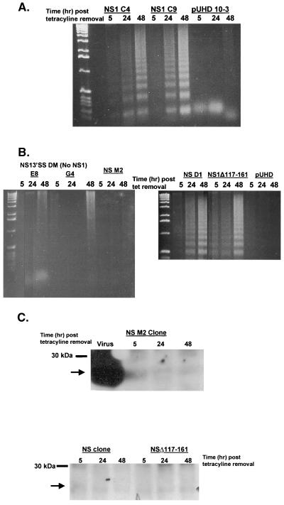 FIG. 3