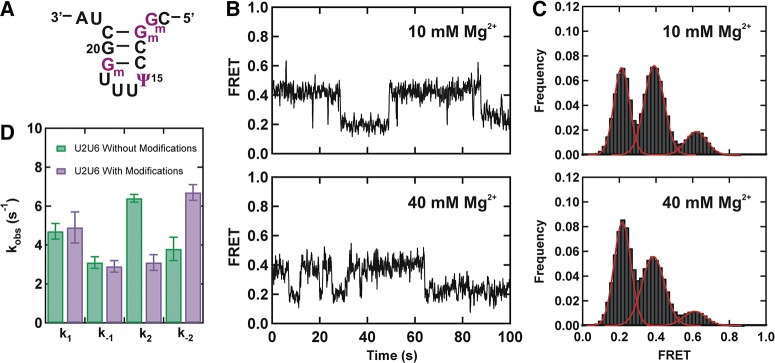 FIGURE 4.