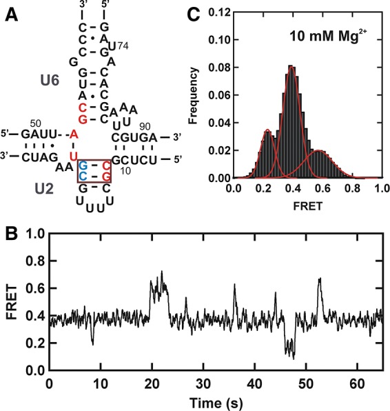 FIGURE 3.