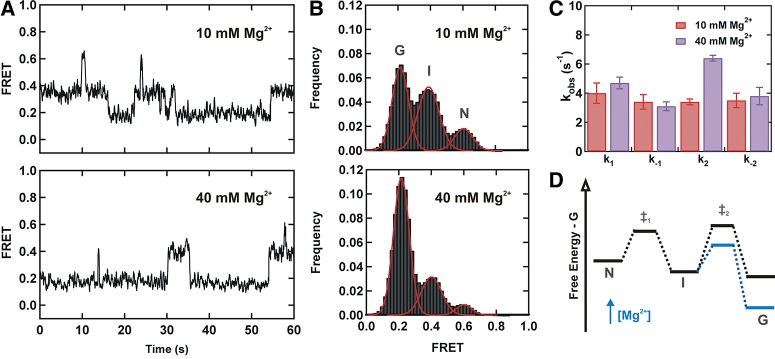 FIGURE 2.