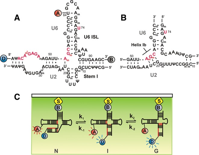 FIGURE 1.