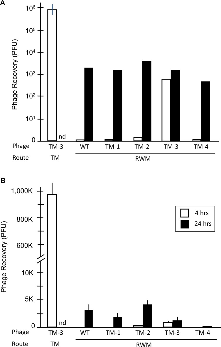 Fig 7