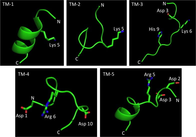 Fig 3