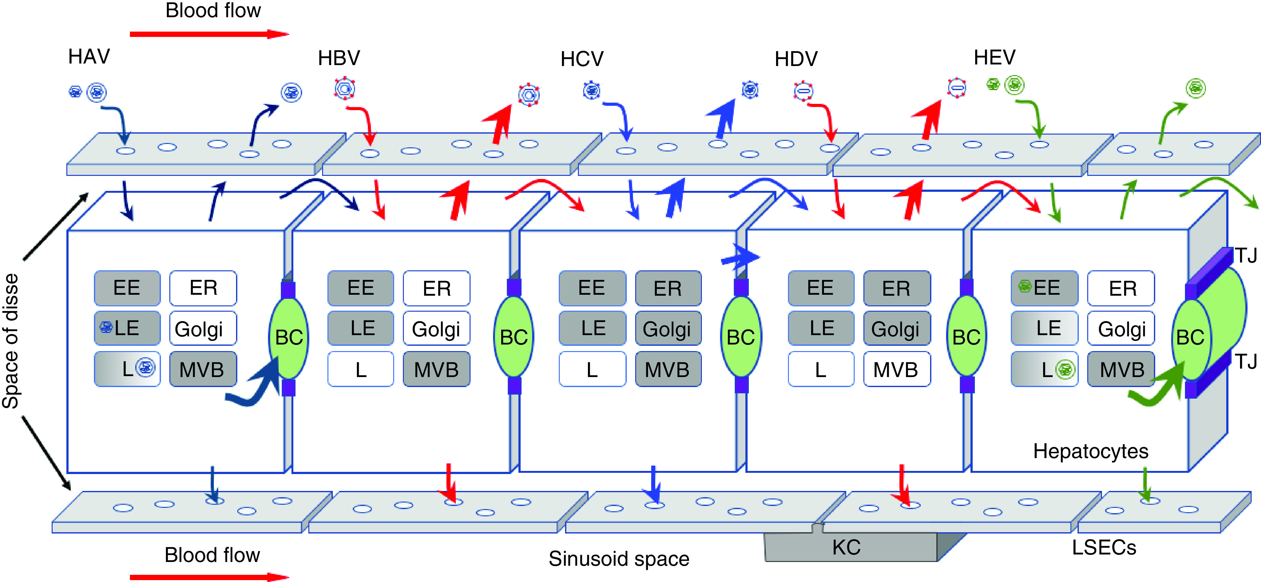 Figure 2. 