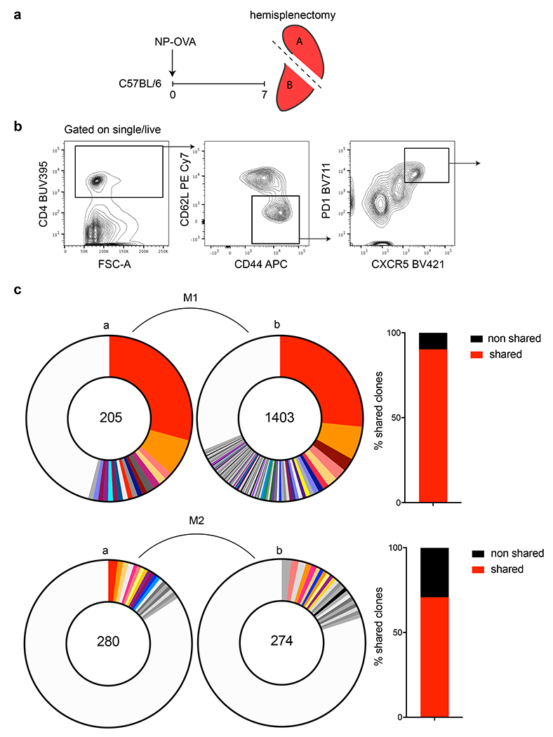 Extended Data Fig. 8.