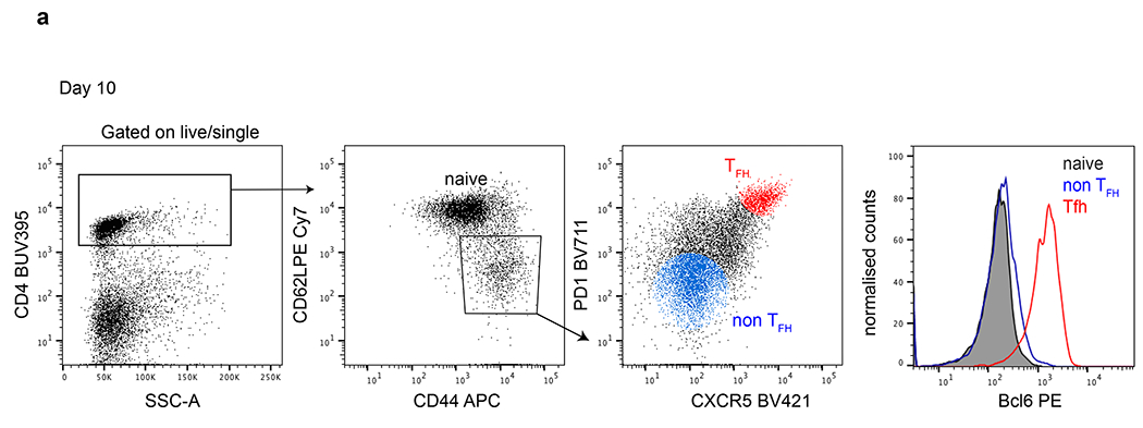 Extended Data Fig. 1.