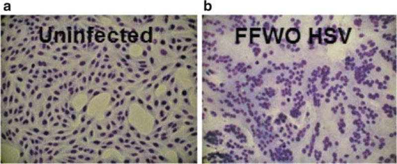 Fig. 2.2