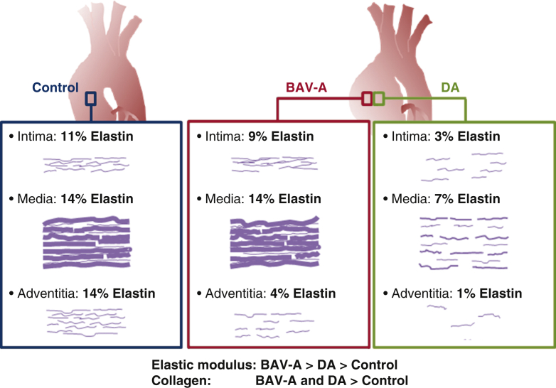 Figure 6