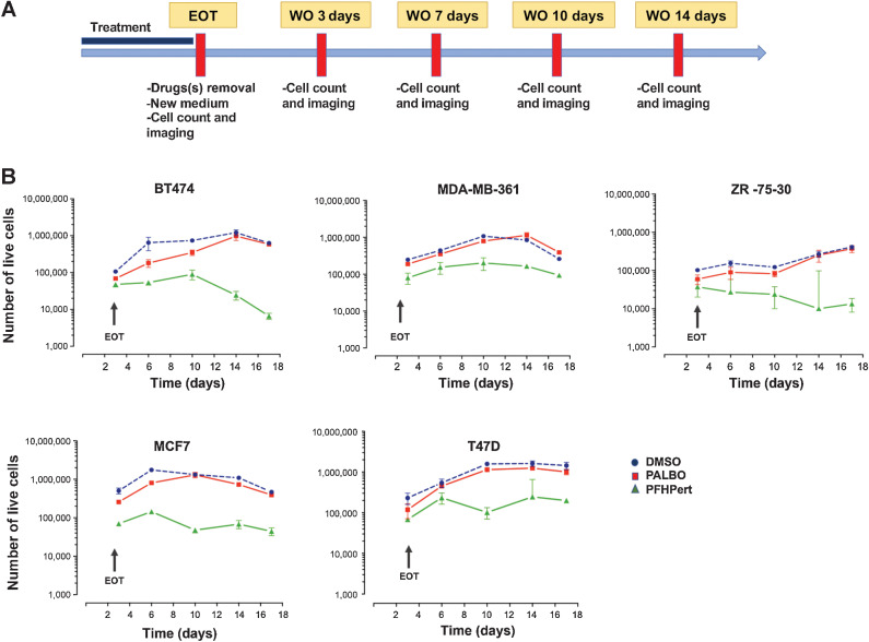 Figure 2. Long-term survival pattern. A, Graphical representation of the treatment schedule adopted to study long-term effects after EOT in the WO. After 72 hours of treatment, drugs were removed and replaced with fresh medium. At EOT and during the WO (till 14 days after treatment) cells were counted and imaging for morphology and SA β-gal expression was taken. B, Kinetics of cell counts by Trypan Blue, from EOT up to day 14 of WO. The results of DMSO control (blue circle), palbocicib (PALBO) alone (red square), and PFHPert treatment (green triangle) were showed. In the top panels are the results for the HER2+ cell lines (BT474, MDA-MB-361, ZR-75–30). In the bottom panels are the results for the HER2low cell lines (MCF7, T47D). Data are mean ± SEM from at least three experiments.