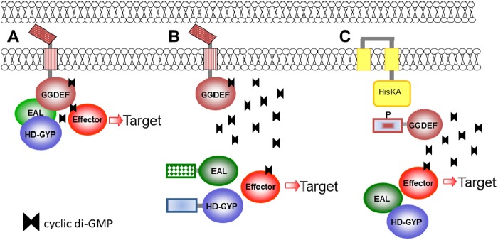 Fig 14