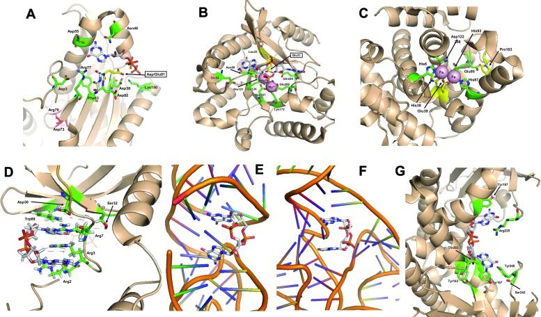 Fig 5