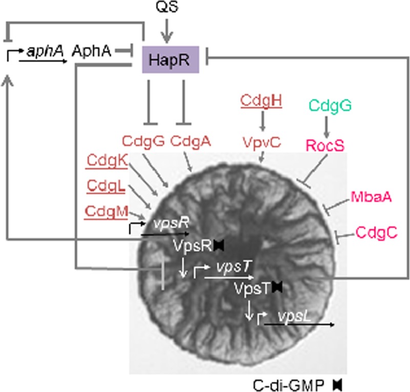 Fig 12