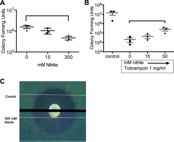 FIG 4