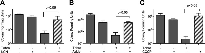 FIG 2