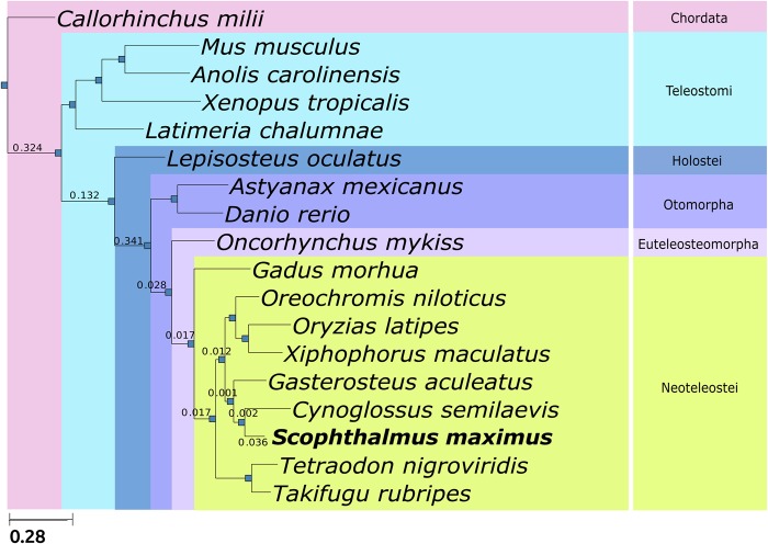 Figure 2.