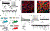 Extended Data Fig. 14 |