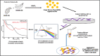 Image, graphical abstract