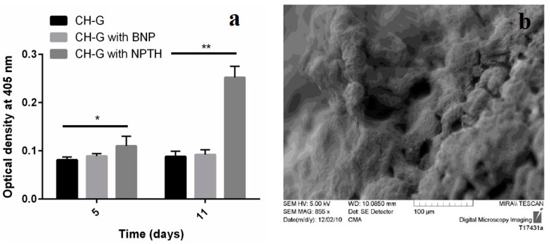 Figure 12