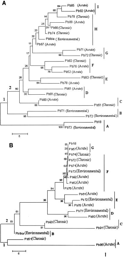 FIG.2.