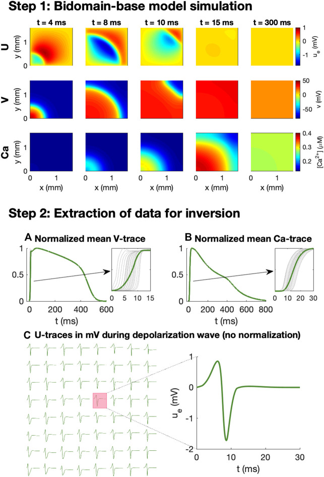 FIGURE 2