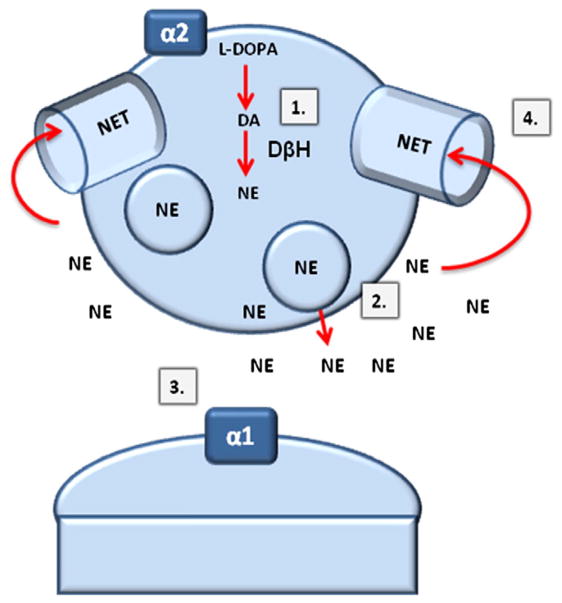 Fig. 2