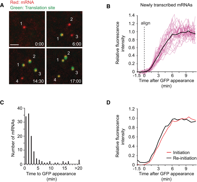 Figure 4