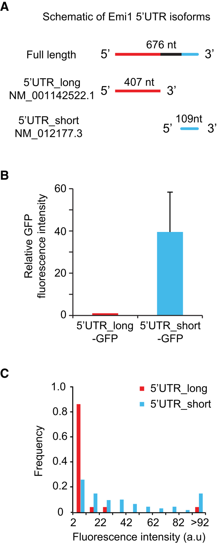 Figure 6