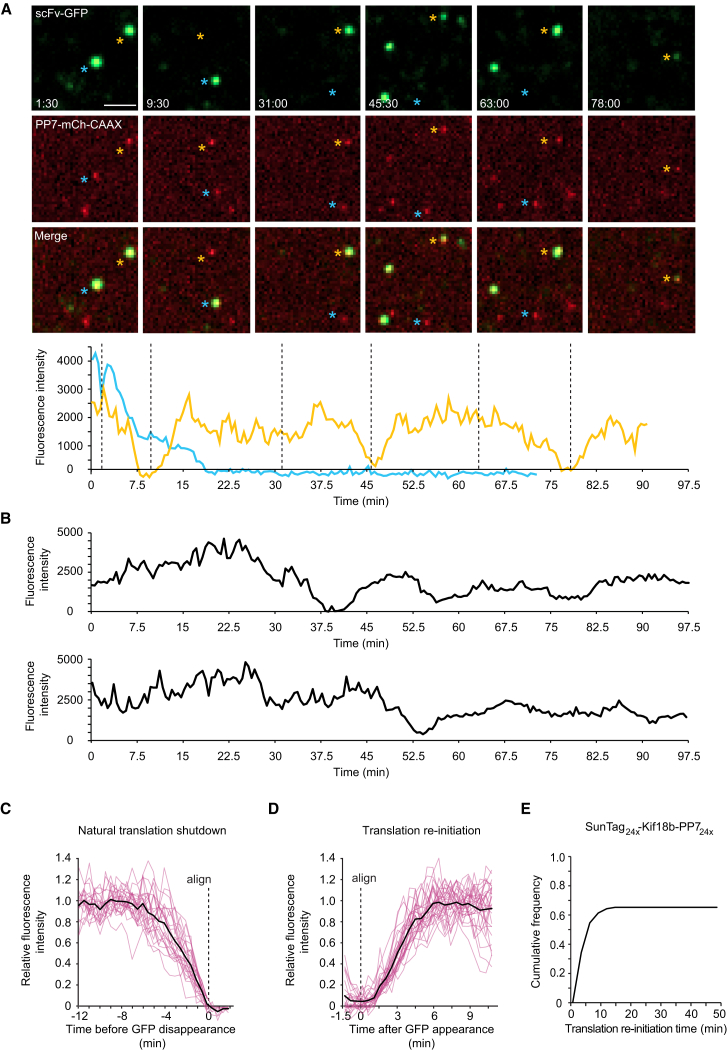 Figure 3