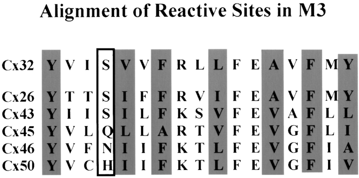 Figure 10.