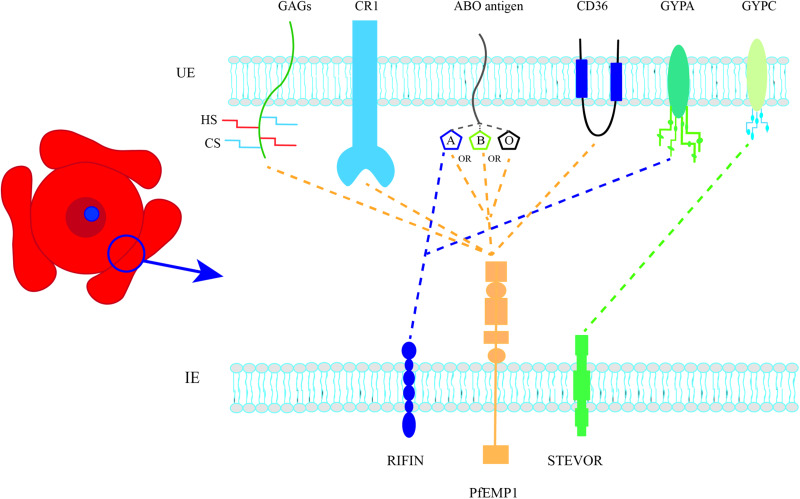 Fig. 2.