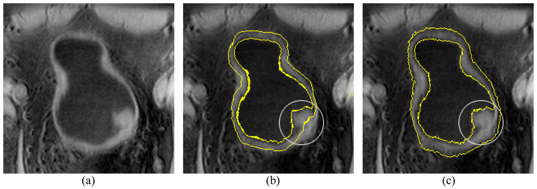 Fig. 9