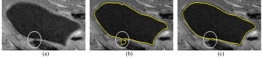 Fig. 10