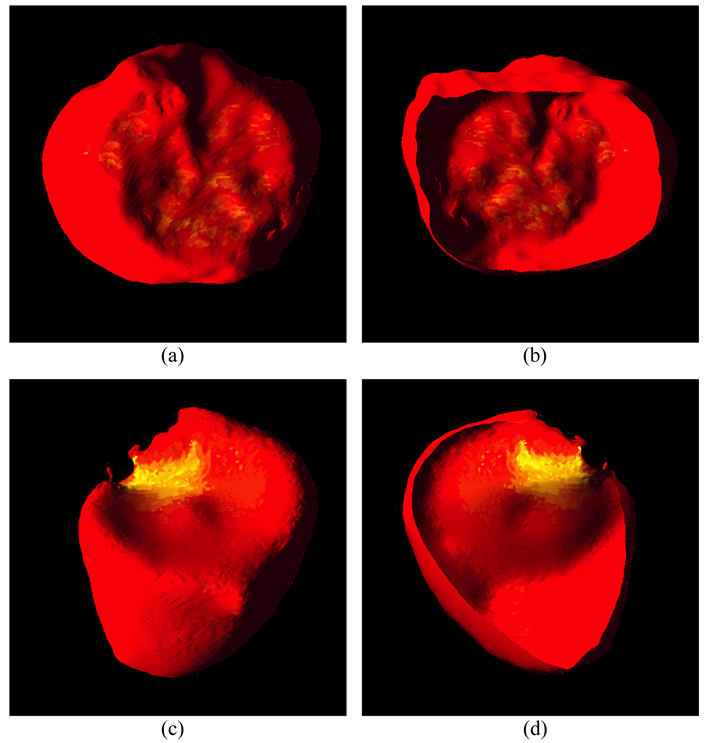 Fig. 17