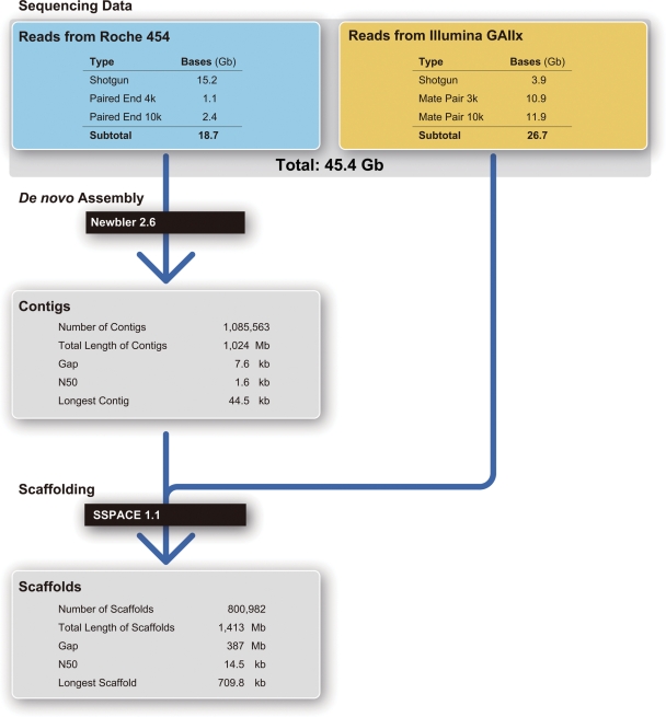 Figure 2.