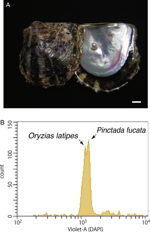 Figure 1.