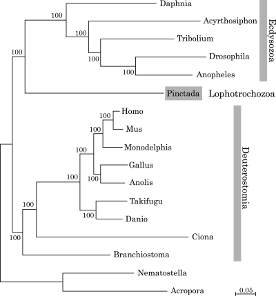 Figure 7.