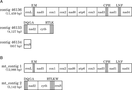 Figure 4.