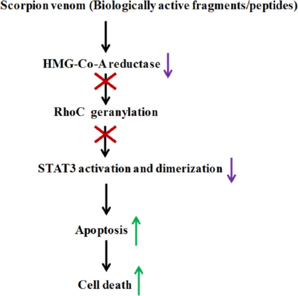 graphic file with name 10.1177_1534735417704949-fig9.jpg