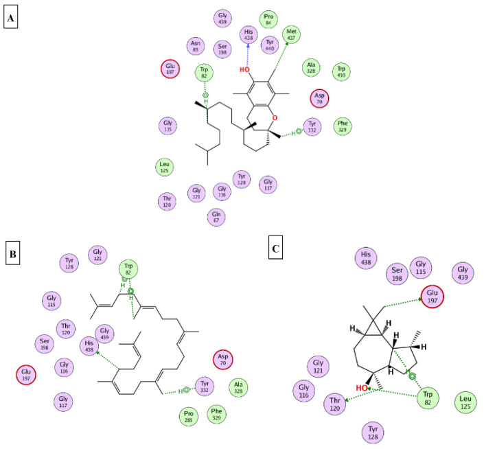 Figure 5