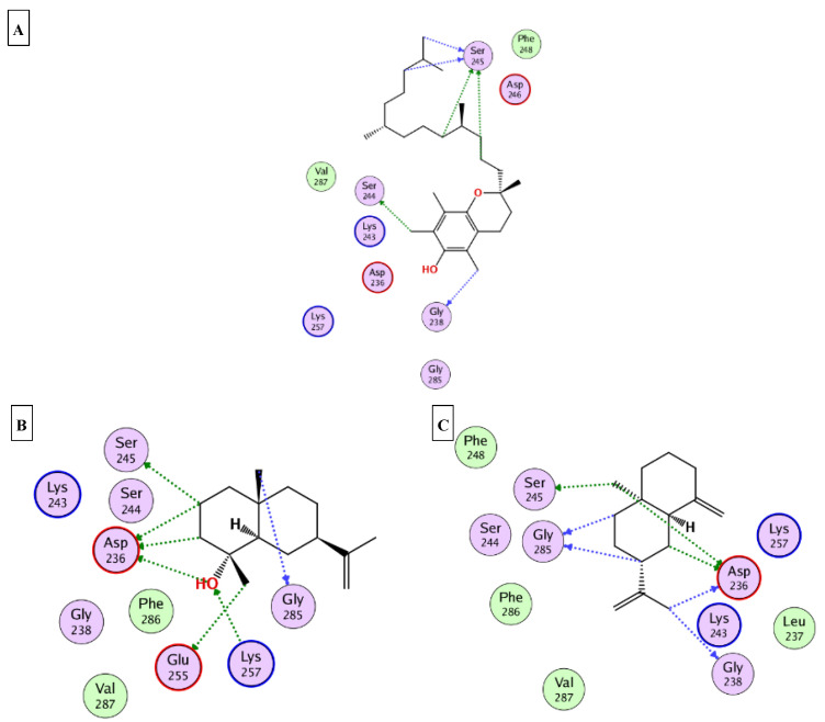 Figure 7