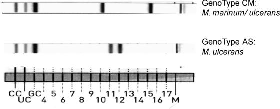 FIG. 2.