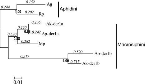 FIG. 5.