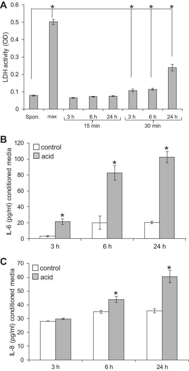 Fig. 10.