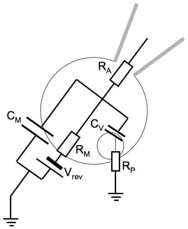 Fig. 2