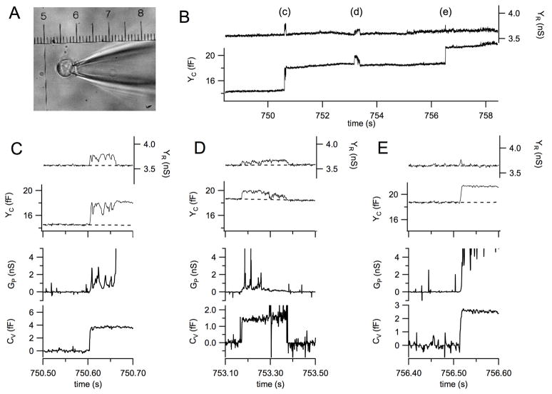 Fig. 4